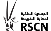20260301085811.png